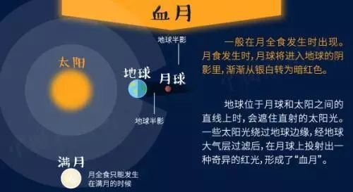 Wennet的自助平台究竟位于何处？探索其实际位置与使用指南