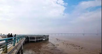 上虞观潮平台自助游价格是多少？探秘性价比高的观潮之旅！