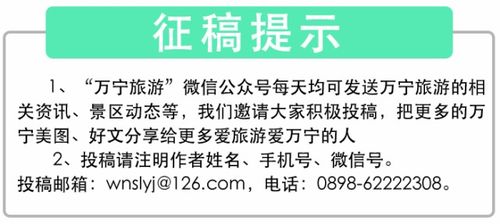 万宁地区有哪些自助团购平台，你知道吗？