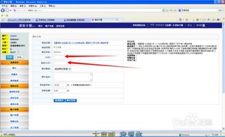 QQ业务网自助下单平台的最低价格是多少？探索最实惠的选项！