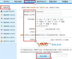 2020年如何选择QQ业务自助下单平台？解析最佳平台特点与优势