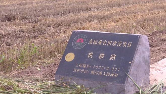 龙陵灌溉项目官方招标网站是什么？
