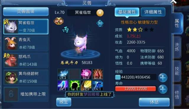 乐阳在卡盟车神之灵兽纪元中称呼谁为师姐？