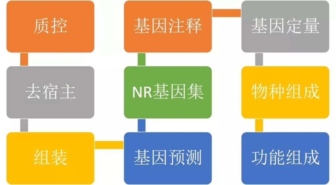 如何高效测试多平台下单流程以确保用户体验