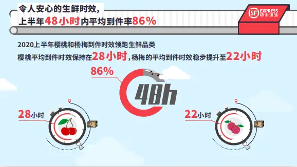 如何在生鲜配送平台上下单的实用技巧