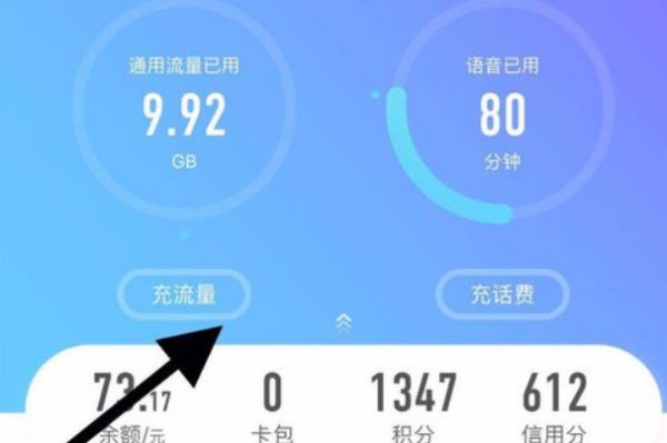 如何快速查询物联卡下单平台官网