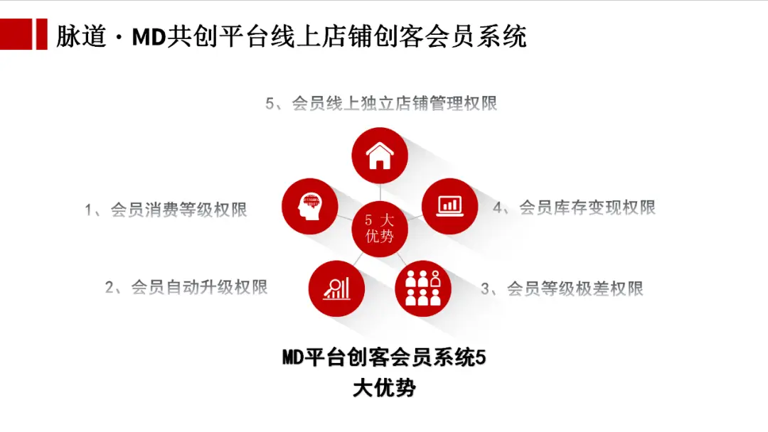 如何在共创平台上通过下单操作实现稳定赚钱