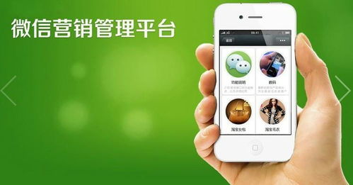 微信微商化妆品代理，真的能赚钱吗？揭开行业内幕！