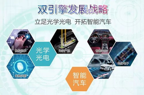 双一科技的主营业务包括哪些领域，其具体业务活动涵盖哪些方面？