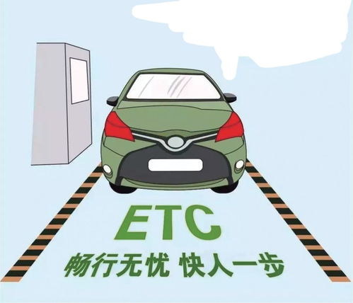 体罚真的能赚钱？这种做法背后隐藏着什么真相？