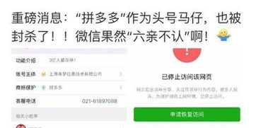 拼多多助力能否使用QQ号操作？具体方法详解