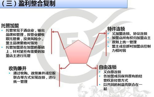 如何实现最高效的盈利模式？掌握赚钱秘诀的关键步骤是什么？