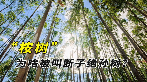 将房产视作摇钱树，真的能轻松获利吗？