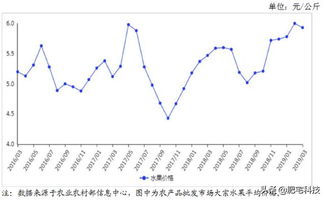在赶集市场卖水果真的能赚钱吗？市场行情分析