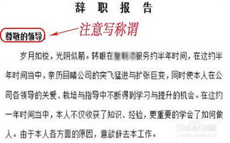 如何撰写离职原因？详细步骤与技巧解析