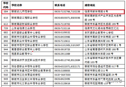 学生如何在学业之余成功开展副业？方法与策略全解析