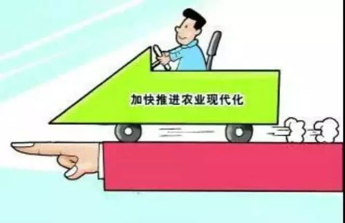 农村副业全面放开，农民增收新机遇何在？