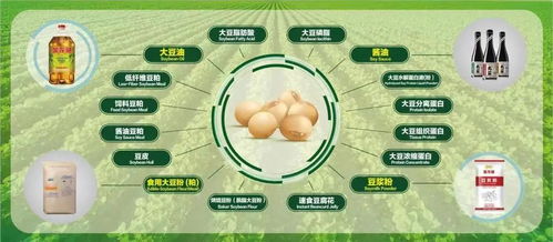 如何优雅地拒绝参与多多助力活动？