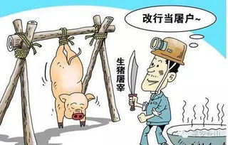 女生开屠宰场能否盈利？创业前景如何？