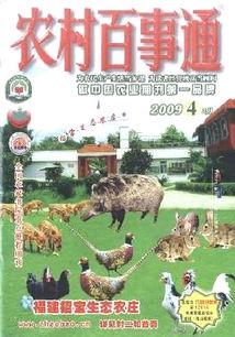 乡村百事通究竟是如何实现盈利的？