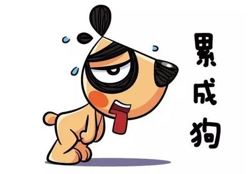 干活忙碌与清闲悠闲，哪种方式更易赚大钱？