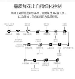 如何打造高转化率的卖货文案副业，实现额外收入？