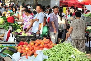 在广州早市，哪些商品最具赚钱潜力？