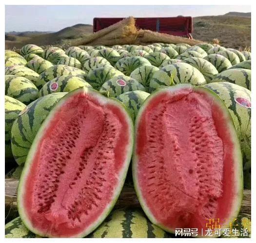 为何农民辛勤劳作却难以获得丰厚回报？