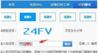 手机上通过打码网站真的能赚到钱吗？实际操作效果如何？