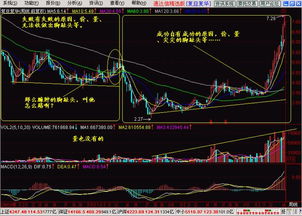 如何掌握股票投资技巧，实现稳定盈利？