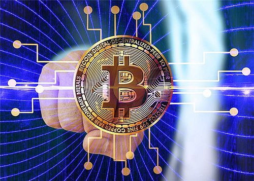 什么决定了最佳公司货微商的地位？探索行业领军者的秘密！