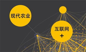 农业领域创业，哪些生意最具盈利潜力？