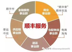 在当今时代，学习哪项技术最能带来高收入？