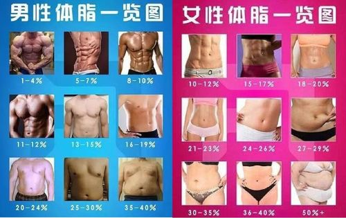 如何高效实现全身减脂，快速瘦身有妙招吗？