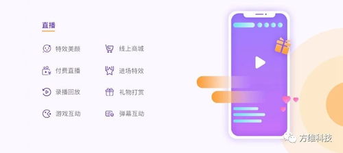 如何通过打赏视频实现稳定收益？你真的了解吗？
