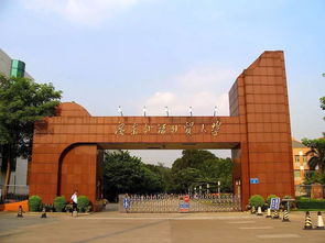 广东外语外贸大学如何实现盈利？其财务秘诀何在？