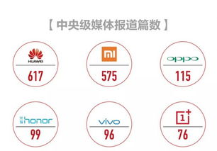 如何从零开始经营蛋糕店实现盈利？一步步操作指南