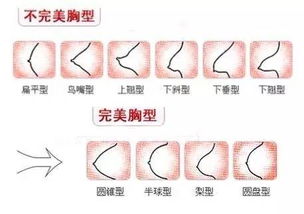 如何通过胸部按摩实现盈利？这种方法真的可行吗？