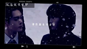网络用语中的“时尚芭莎”究竟藏着什么含义？它指的是什么潮流现象？