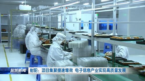 在农村，女性养殖什么项目能实现高收益？