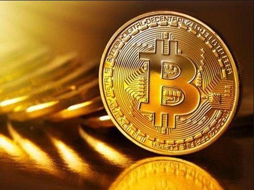 哪种比特币币种最具盈利潜力？投资选择解析