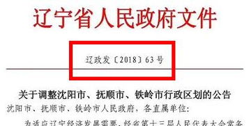 沈阳代理中佰康项目，真的能赚钱吗？