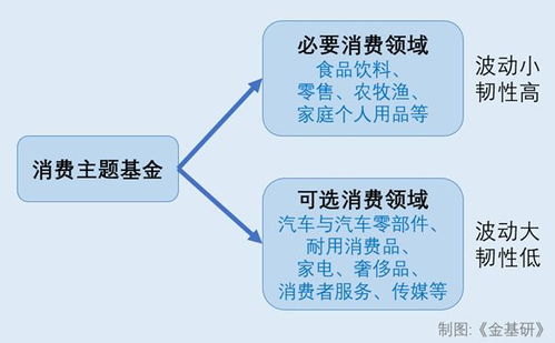 如何识别那些真正能带来收益的基金特征？