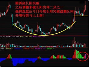 为何短线炒股屡屡失利，难以获利？