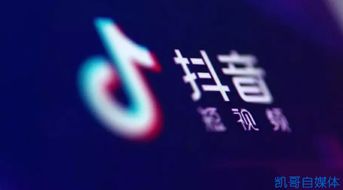 你知道在抖音上形容赚钱有多辛苦吗？真实经历分享！