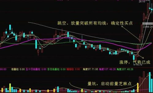 在中国股市中，真正能盈利的投资者占比几何？