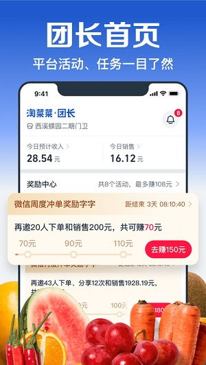 如何成为淘菜菜团长并实现盈利？