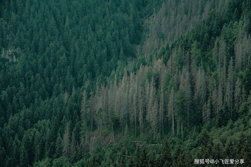 哪些副业能在短时间内快速赚钱？
