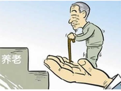 农村老人如何选择高收益的赚钱途径？