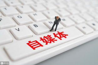 今年农村有哪些赚钱的门路？你了解吗？